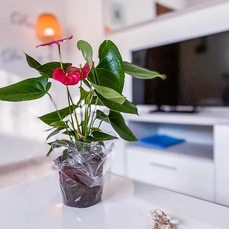 Apartment Myhouse Torino *